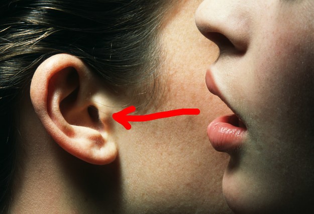 ¿Cuál es el nombre de esta protuberancia de la oreja?