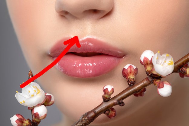 ¿Cuál es el nombre del surco que está está abajo de la nariz y arriba de la parte central de los labios?