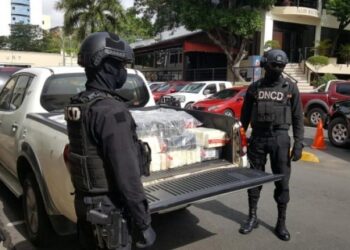 DNCD ocupa 341 paquetes de droga en Puerto Caucedo
