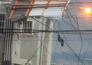 En Moca: Ventarrón daña comercios y derriba árboles