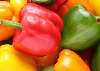 Estos alimentos te ayudarán a acelerar tu metabolismo