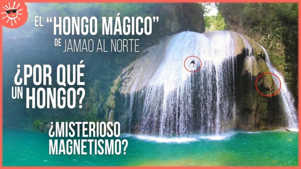 hongo magico secreto mejor guardado en republica dominicana 1614744101 b