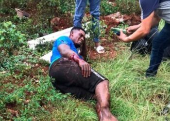 Lanzador del Licey, Robinson Leyer, sufre aparatoso accidente