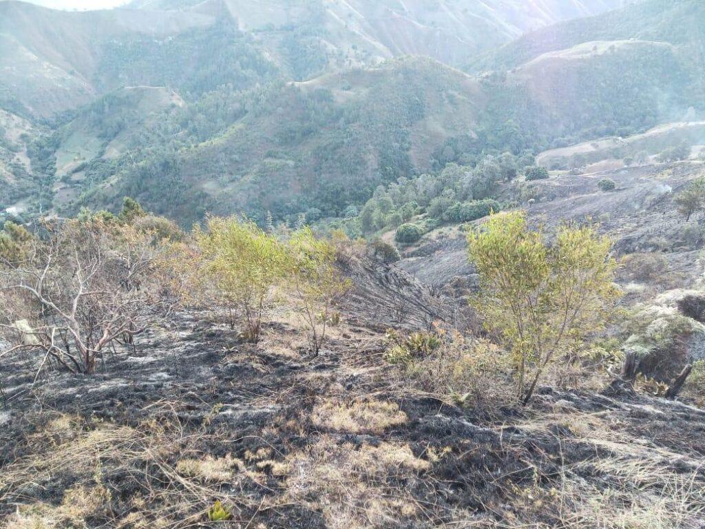 valle nuevo resiliencia proteccion ambiental 1735988815