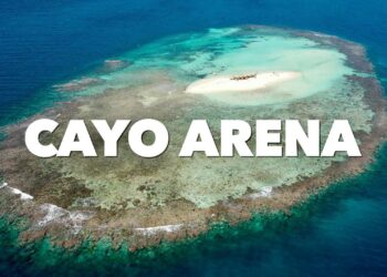 descubre cayo arena joya tropical republica dominicana belleza aventura