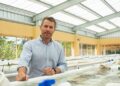Fundación Puntacana, crisis del sargazo, República Dominicana sargazo, soluciones sargazo RD, economía circular sargazo, tecnologías sostenibles sargazo