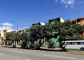 árboles Santo Domingo, forestación urbana República Dominicana, especies nativas árboles, paisaje urbano sostenible, flora urbana dominicana, medio ambiente Santo Domingo