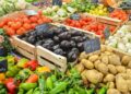 agrodiversidad República Dominicana, producción agropecuaria RD, provincias agrícolas dominicanas, seguridad alimentaria RD, desarrollo rural República Dominicana, Ministerio de Agricultura RD