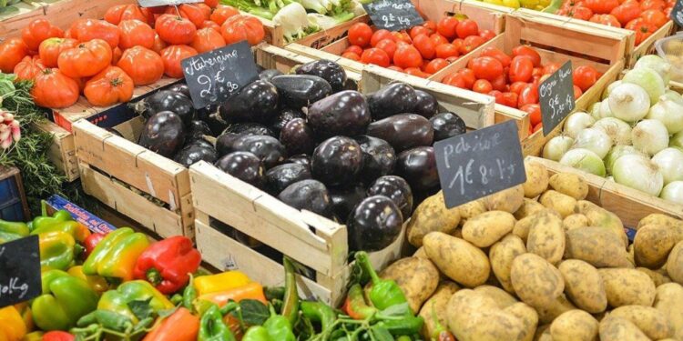 agrodiversidad República Dominicana, producción agropecuaria RD, provincias agrícolas dominicanas, seguridad alimentaria RD, desarrollo rural República Dominicana, Ministerio de Agricultura RD