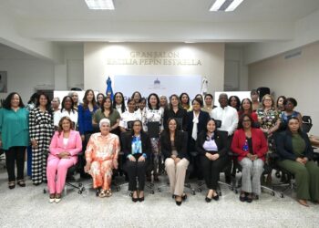 Gabinete de Mujeres República Dominicana, Casas de Acogida RD, violencia de género RD, Ley Mirabal actualización, Plan Vida Libre de Violencia, Mujeres en Desarrollo Dominicana
