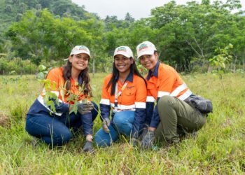 Barrick Pueblo Viejo, reforestación en Hatillo, conservación ambiental RD, especies nativas República Dominicana, protección recursos hídricos, biodiversidad Monseñor Nouel