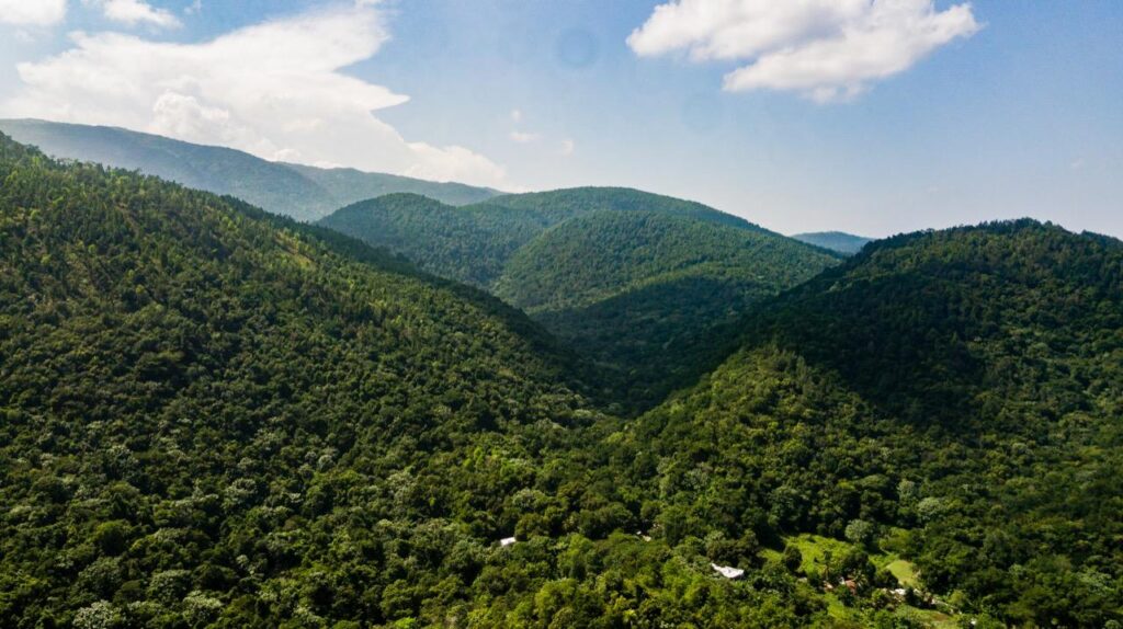 Loma Miranda, defensa ambiental República Dominicana, protección Loma Miranda, Parque Nacional Loma Miranda, movimiento ambiental dominicano, conservación natural RD