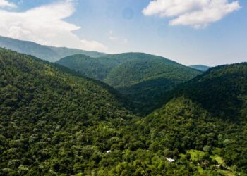 Loma Miranda, defensa ambiental República Dominicana, protección Loma Miranda, Parque Nacional Loma Miranda, movimiento ambiental dominicano, conservación natural RD