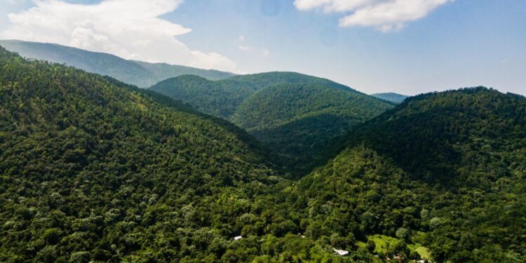 Loma Miranda, defensa ambiental República Dominicana, protección Loma Miranda, Parque Nacional Loma Miranda, movimiento ambiental dominicano, conservación natural RD