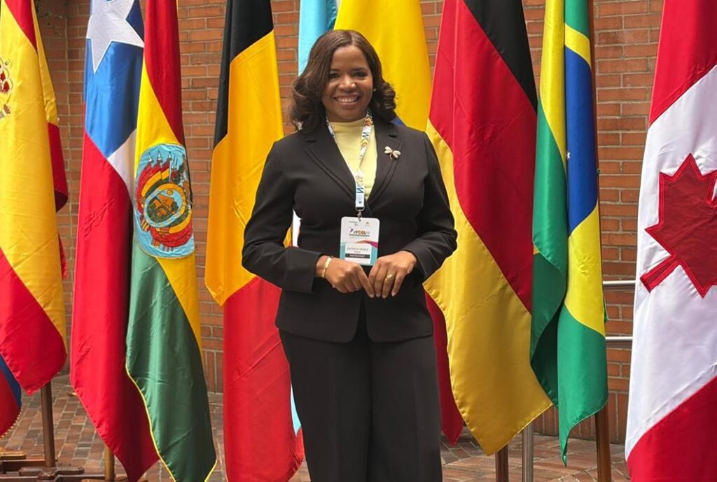 Patricia Pérez Díaz, Derecho Constitucional República Dominicana, Congreso Mundial de Derecho Constitucional, Juristas dominicanos destacados, Democracia y derechos fundamentales RD, Academia jurídica dominicana