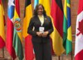Patricia Pérez Díaz, Derecho Constitucional República Dominicana, Congreso Mundial de Derecho Constitucional, Juristas dominicanos destacados, Democracia y derechos fundamentales RD, Academia jurídica dominicana