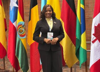 Patricia Pérez Díaz, Derecho Constitucional República Dominicana, Congreso Mundial de Derecho Constitucional, Juristas dominicanos destacados, Democracia y derechos fundamentales RD, Academia jurídica dominicana