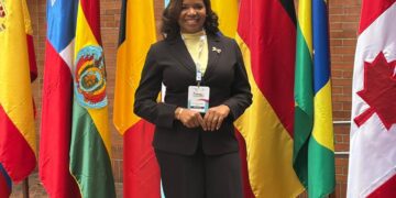 Patricia Pérez Díaz, Derecho Constitucional República Dominicana, Congreso Mundial de Derecho Constitucional, Juristas dominicanos destacados, Democracia y derechos fundamentales RD, Academia jurídica dominicana