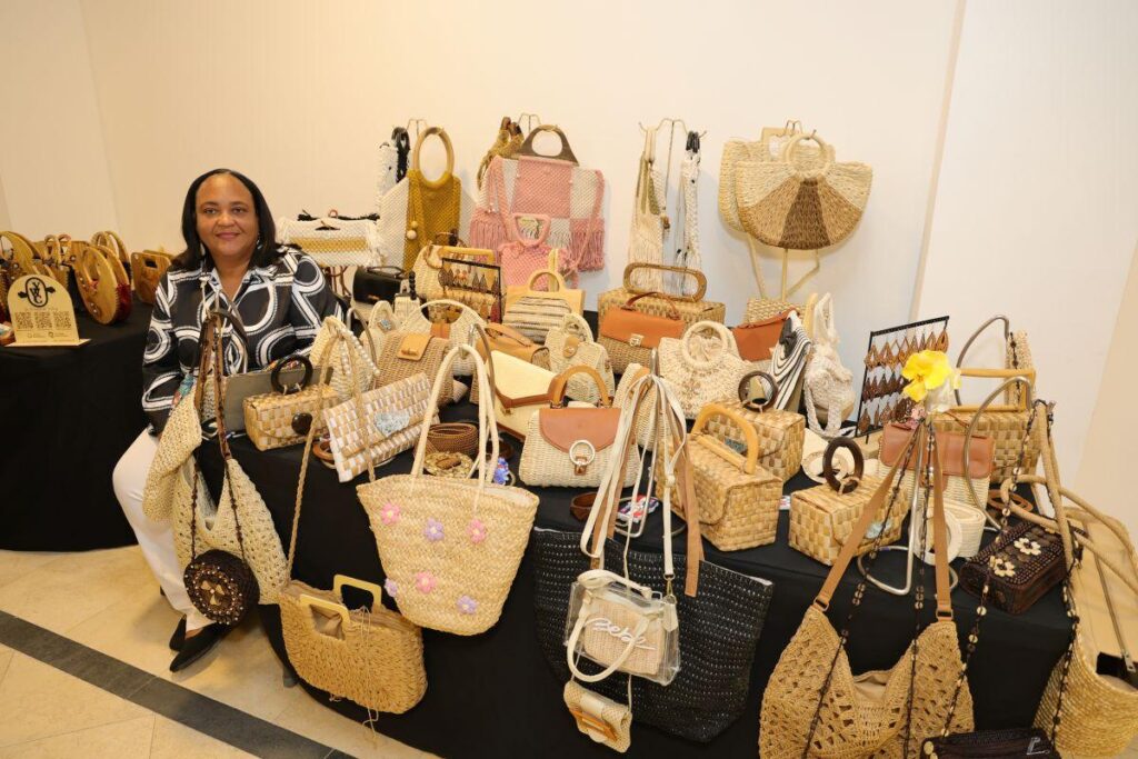diseño artesanal dominicano, Greicy Campos artesanía, arte sostenible República Dominicana, larimar en artesanía, macramé y crochet RD, emprendimiento artesanal dominicano