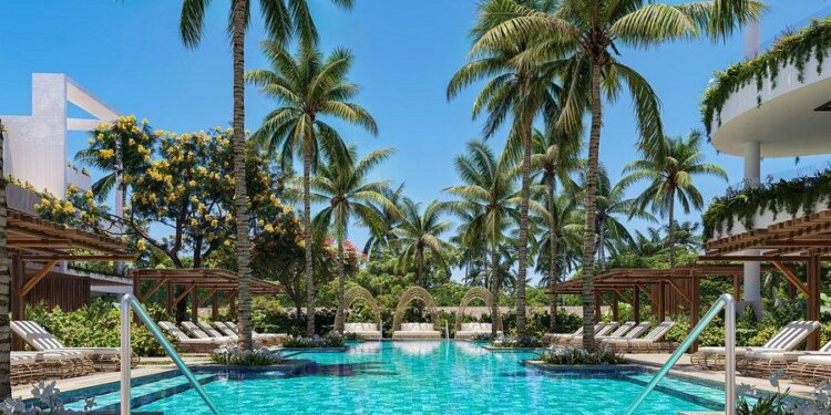 Donoma Las Terrenas, turismo en Samaná, hoteles en Las Terrenas, turismo sostenible República Dominicana, gastronomía y bienestar en Samaná, destinos turísticos dominicanos