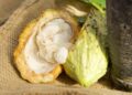 exportaciones de cacao dominicano, cacao de San Francisco de Macorís, producción de cacao en República Dominicana, récord exportaciones cacao RD, industria cacaotera dominicana, economía agrícola dominicana