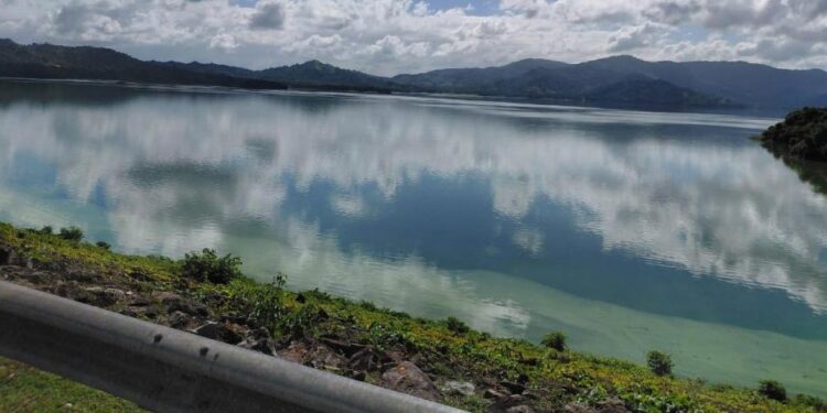 cianobacterias República Dominicana, presas Hatillo y Valdesia, cianotoxinas y salud pública, investigación ambiental RD, microcistina en embalses, contaminación agua RD
