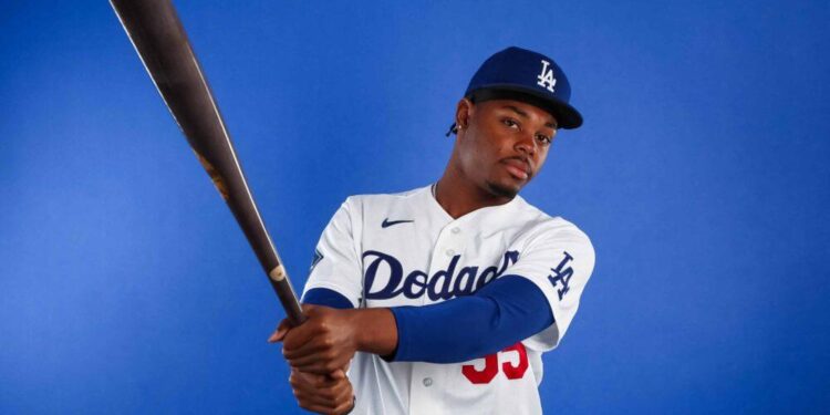Josué De Paula, El Niche Baseball Academy, béisbol dominicano, Juan Soto, Elly De La Cruz, prospectos MLB República Dominicana