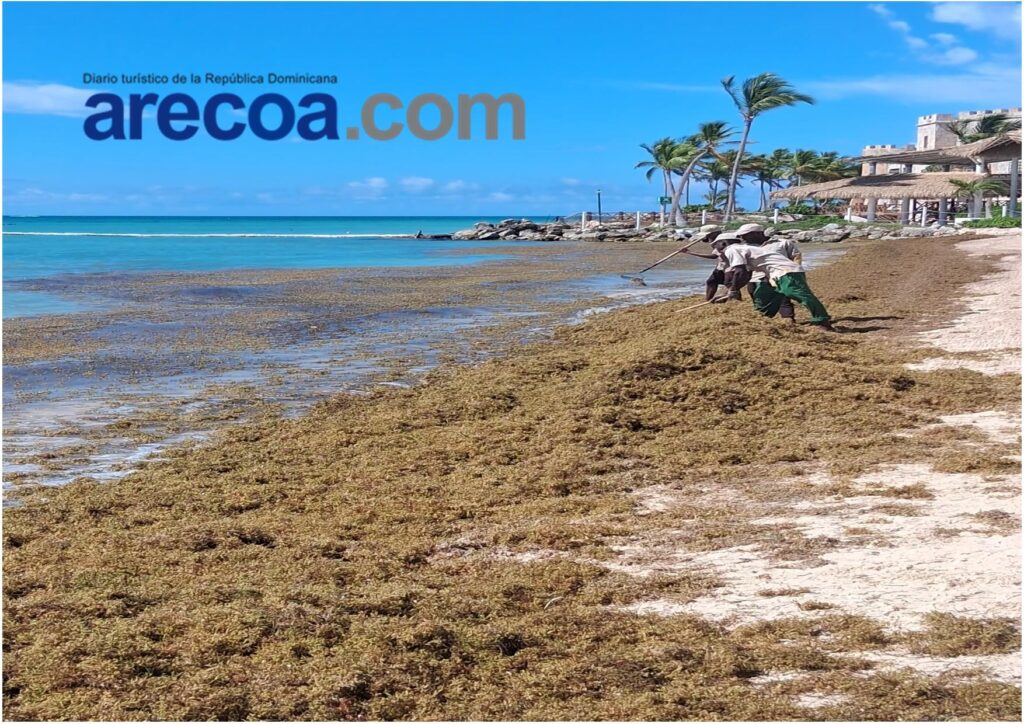 gestión del sargazo, sargazo en República Dominicana, financiamiento sostenible RD, Banco Adopem sargazo, emprendimiento ambiental RD, proyectos ambientales Caribe