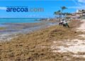 gestión del sargazo, sargazo en República Dominicana, financiamiento sostenible RD, Banco Adopem sargazo, emprendimiento ambiental RD, proyectos ambientales Caribe