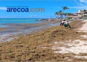 gestión del sargazo, sargazo en República Dominicana, financiamiento sostenible RD, Banco Adopem sargazo, emprendimiento ambiental RD, proyectos ambientales Caribe